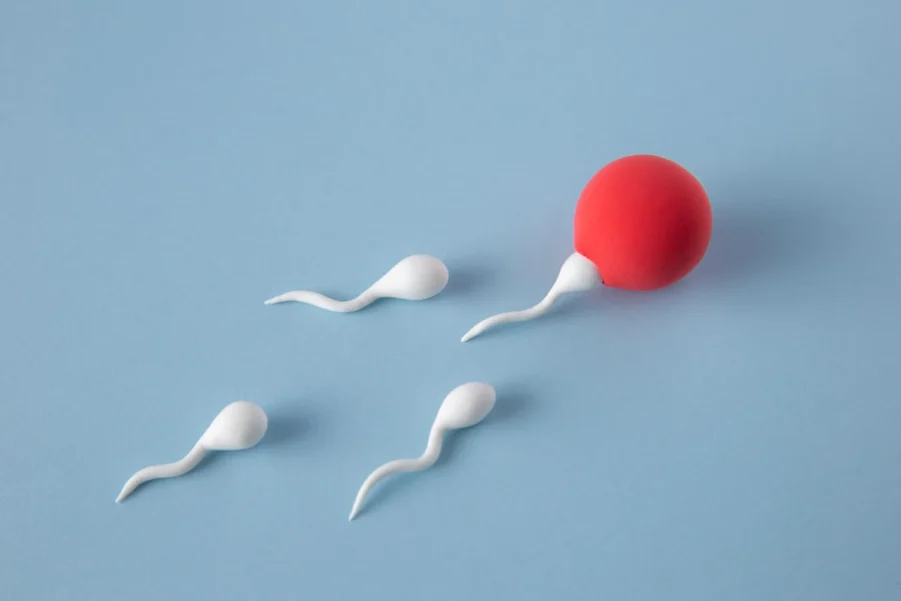 Semen Analysis – Sperm DNA Fragmentation
